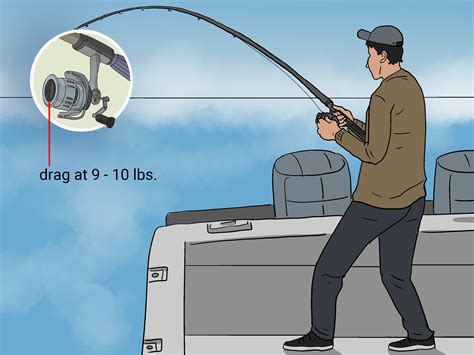 How to Catch Striped Bass: Best Bait, Technique, &  .